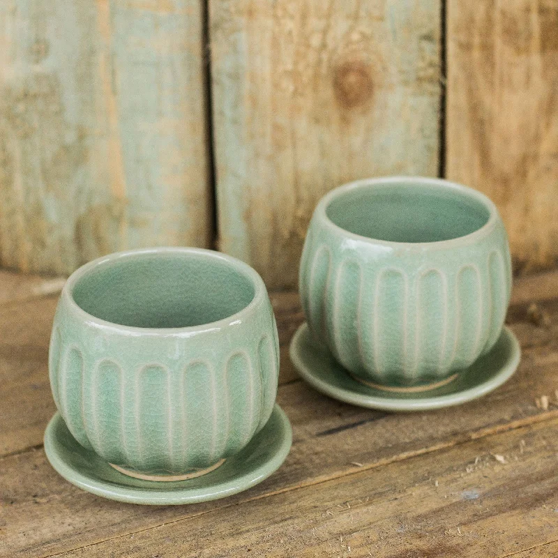 Fair Trade Thai Celadon Ceramic Teacups and Saucers (pair) - Thai Jade